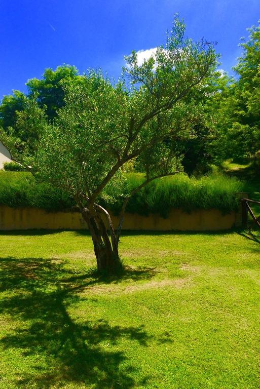 Agriturismo Acero Rosso Civitella di Romagna Ngoại thất bức ảnh